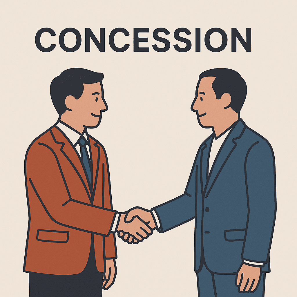 concession meaning and examples