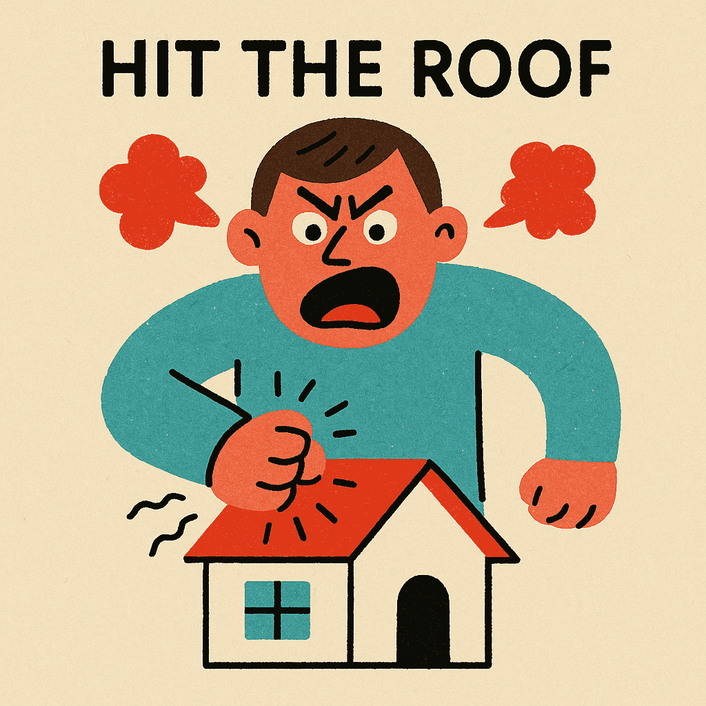 hit the roof meaning and examples thumbnail
